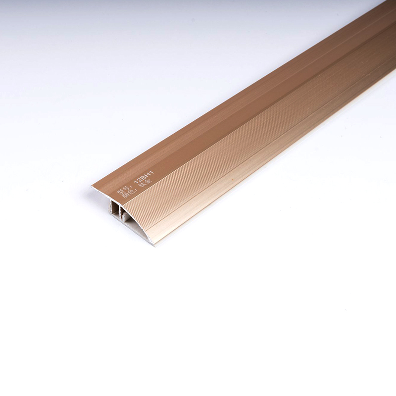 Guarni&ccedil;&atilde;o luxuosa do nariz da escada em azulejo