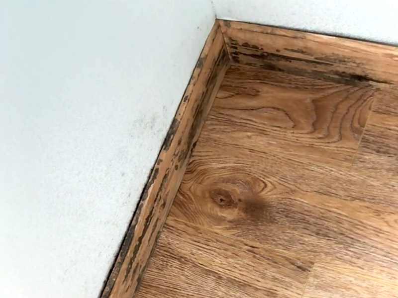 Como remover o mofo dos rodapés?