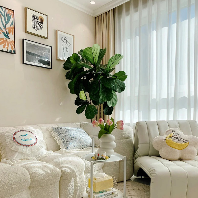 Quais são as vantagens e desvantagens da lama de diatomáceas?